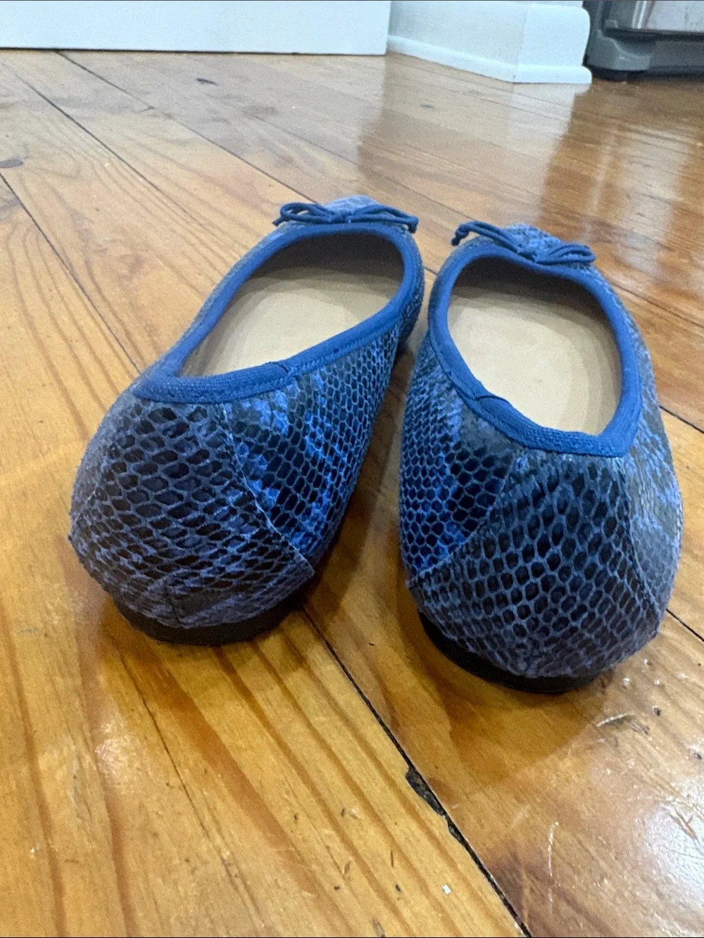 Banana Republic Blue Snake-Print Pointed Ballet Flats